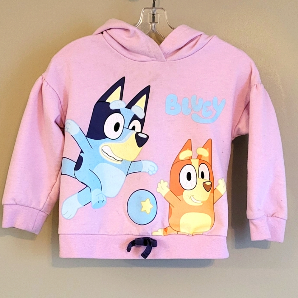 Bluey light pink pullover hoodie